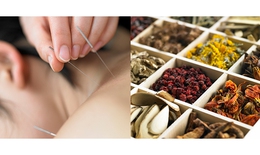 Hợp t&#225;c quốc tế về nghi&#234;n cứu, bảo tồn tri thức y học truyền thống - Hướng đi tất yếu của Việt Nam trong kỷ nguy&#234;n hội nhập