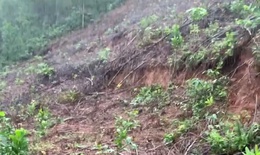 Đỉnh đồi ở Huế xuất hiện vết nứt hở hơn 1m
