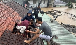 Thủ tướng chỉ đạo khẩn: Không để người dân kêu cứu trên nóc nhà mà không được ứng cứu kịp thời