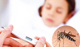 Mỗi năm cả nước ghi nhận khoảng 100.000 ca mắc sốt xuất huyết
