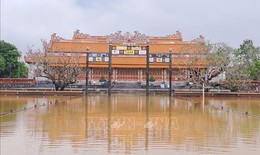 Xử l&#253; khẩn cấp, gia cố đoạn tường th&#224;nh ph&#237;a Bắc Ho&#224;ng th&#224;nh&#160;Huế