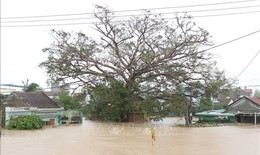 Mưa lũ đ&#227; g&#226;y thiệt hại hơn 5.300 tỷ đồng tại Đắk Lắk