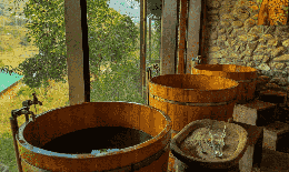 Biến đa dạng sinh học thành liệu pháp chữa lành tự nhiên