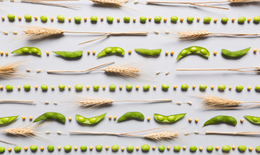 Thêm đạm thực vật mỗi sáng - Sống khỏe chủ động mỗi ngày