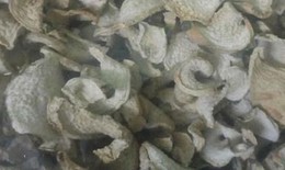 C&#225;ch d&#249;ng củ r&#225;y hỗ trợ hạ axit uric