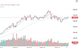 Xu hướng chứng khoán 26/11 'nín thở' chờ tín hiệu dòng tiền