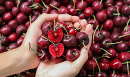 4 loại trái cây giàu vitamin C giúp đào thải axit uric