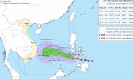 &#193;p thấp nhiệt đới sẽ mạnh l&#234;n th&#224;nh b&#227;o tr&#234;n Biển Đ&#244;ng v&#224;o đ&#234;m nay