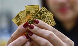 Gi&#225; v&#224;ng h&#244;m nay ng&#224;y 25/11 bật tăng dữ dội