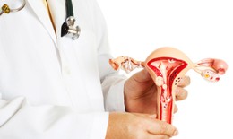 10 nguy&#234;n nh&#226;n g&#226;y n&#243;ng r&#225;t &#226;m đạo