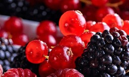 5 loại thực phẩm 'vàng' giúp giải độc gan và tăng cường chức năng gan