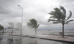 B&#227;o số 15 sẽ hướng v&#224;o khu vực n&#224;o tr&#234;n đất liền?