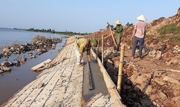 Đảm bảo an to&#224;n hệ thống đ&#234; điều ứng ph&#243; b&#227;o số 15