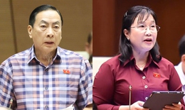 ĐBQH nêu 4 lý do cấm đầu tư kinh doanh thuốc lá điện tử, thuốc lá nung nóng