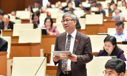 ĐBQH cảm thấy 'rất xấu hổ' nếu cấm thuốc lá điện tử trong nước nhưng vẫn sản xuất để xuất khẩu