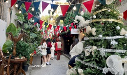 Ng&#245; nhỏ ở H&#224; Nội &#39;h&#250;t&#39; giới trẻ trước m&#249;a Gi&#225;ng sinh