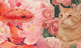 Tử vi 12 con giáp hôm nay 28/11: Tị hanh thông, Mão vận may tìm đến