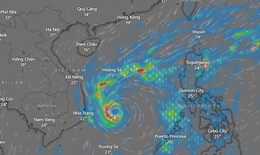 B&#227;o số 15 diễn biến kh&#243; lường, h&#224;ng loạt s&#226;n bay n&#226;ng mức cảnh gi&#225;c