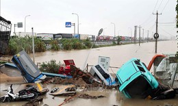 Quy tr&#236;nh thủ tục tạm dừng đ&#243;ng quỹ hưu tr&#237; v&#224; tử tuất với doanh nghiệp kh&#243; khăn do thi&#234;n tai