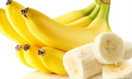 Hiểu đ&#250;ng về chuột r&#250;t tuổi dậy th&#236; v&#224; chế độ dinh dưỡng để ph&#242;ng ngừa