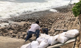 K&#232; biển Mũi N&#233; sạt lở nghi&#234;m trọng, kiến nghị c&#244;ng bố t&#236;nh huống khẩn cấp