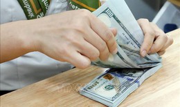 Tỷ giá hôm nay 3/11: Đồng USD và NDT cùng giảm giá