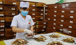 Ho&#224;n thiện h&#224;nh lang ph&#225;p l&#253; trong bảo tồn v&#224; ph&#225;t triển tri thức y học d&#226;n tộc