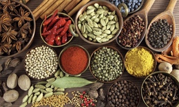 Hiện đại h&#243;a y dược cổ truyền nhưng phải giữ hồn cốt d&#226;n tộc