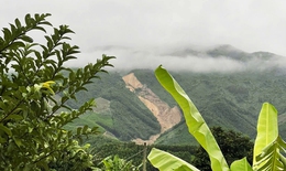 Sườn n&#250;i sạt lở d&#224;i 2km, một người đ&#224;n &#244;ng đi t&#236;m gia s&#250;c tử vong