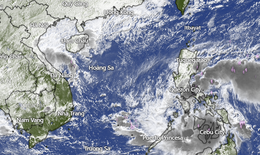 Khắc phục mưa lũ chưa xong, b&#227;o Kalmaegi ập đến: Bộ X&#226;y dựng chỉ đạo &#39;khẩn&#39;