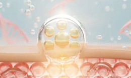 5 c&#225;ch gi&#250;p cơ thể tự sản sinh collagen, l&#224;m chậm qu&#225; tr&#236;nh l&#227;o h&#243;a da