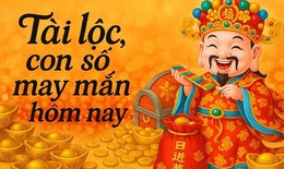 Con số may mắn h&#244;m nay 5/11 - số c&#225;t l&#224;nh - số t&#224;i lộc 12 con gi&#225;p ng&#224;y mới