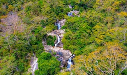 Mở rộng Khu dự trữ sinh quyển N&#250;i Ch&#250;a: Kết nối rừng, biển v&#224; sinh kế cộng đồng