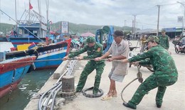 Phó Thủ tướng chỉ đạo hoàn thiện phương án ứng phó bão số 13 trước 11 giờ ngày 6/11