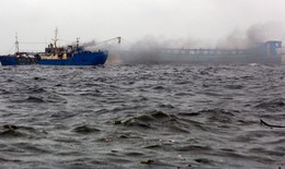 Những cơn b&#227;o trong lịch sử c&#243; đường đi v&#224; kịch bản giống với b&#227;o số 13