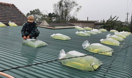 Hướng dẫn người d&#226;n bảo vệ nh&#224; cửa trước khi b&#227;o số 13 đổ bộ