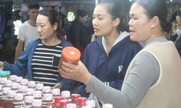 Hội chợ lớn nhất Hải Ph&#242;ng sau s&#225;p nhập c&#243; g&#236; đặc biệt?