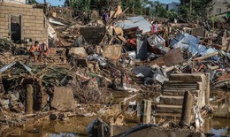 B&#227;o Kalmaegi t&#224;n ph&#225; Philippines, &#237;t nhất 114 người tử vong, 127 người mất t&#237;ch