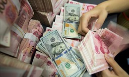 Tỷ giá hôm nay 6/11: Đồng USD và NDT cùng tăng