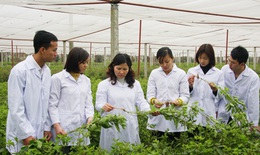 Ho&#224;n thiện khung ph&#225;p l&#253; để ph&#225;t triển y dược cổ truyền Việt Nam trong hội nhập quốc tế