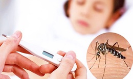 L&#226;m Đồng ghi nhận gần 7.000 ca sốt xuất huyết Dengue, 3 người tử vong