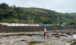 Hải Ph&#242;ng: Khắc phục t&#236;nh trạng sạt lở bờ k&#232; biển ở phường Đồ Sơn