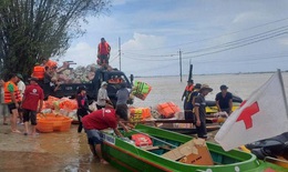 Hội Chữ thập đỏ Việt Nam ph&#226;n bổ hơn 4,8 tỷ đồng cứu trợ khẩn cấp 6 tỉnh bị thiệt hại do mưa lũ