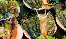 Khi n&#224;o n&#234;n bổ sung t&#244;m v&#224; cua biển cho trẻ