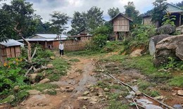 Quảng Ng&#227;i động đất 4.0 độ g&#226;y rung lắc