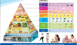 L&#224;m c&#225;ch n&#224;o để k&#237;ch th&#237;ch vị gi&#225;c v&#224; đảm bảo đủ chất cho người gi&#224;?