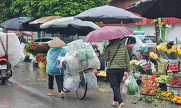 Miền Bắc mưa nhỏ trước khi chuyển nắng hết tuần tới