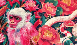 Tử vi 12 con giáp hôm nay 2/12: Tị biến động, Mão tài chính khởi sắc