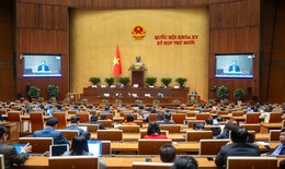 ‘Đất hiếm sẽ trở th&#224;nh t&#224;i nguy&#234;n quan trọng để ph&#225;t triển đất nước trong thời gian tới’