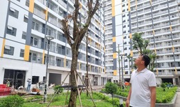 Người sinh 2 con trở lên chính thức được ưu tiên hưởng chính sách nhà ở xã hội từ 1/7/2026